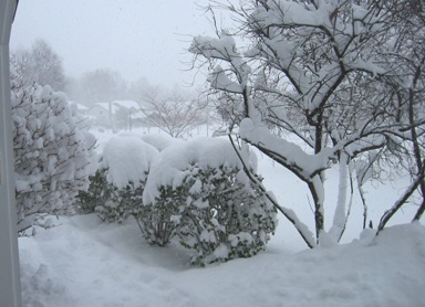 Snow 2004