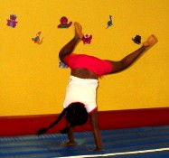 D2 Cartwheel